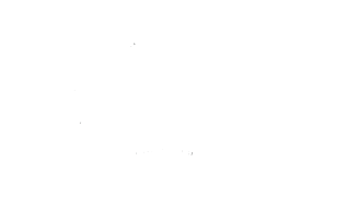 Ring_Wars
